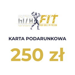 Vocher GizaFit 250 zł
